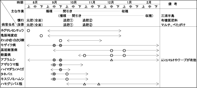 冬撒き ストア ギニアグラス